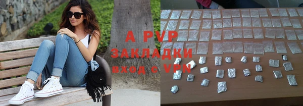 МДПВ Бородино