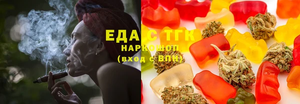 МДПВ Бородино