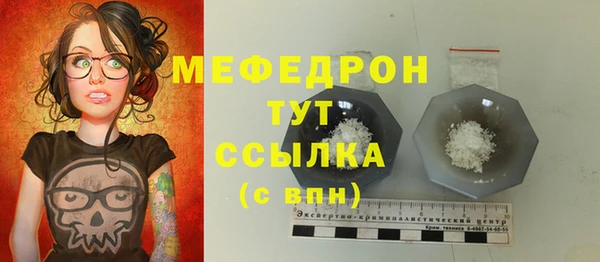 МДПВ Бородино