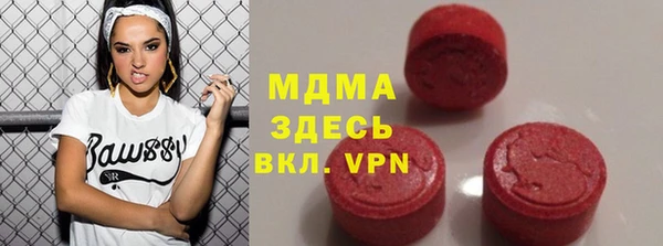 МДПВ Бородино