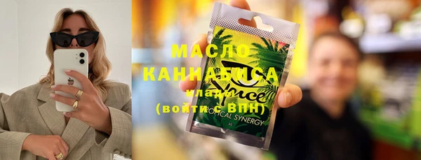 МДПВ Бородино