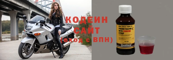 МДПВ Бородино