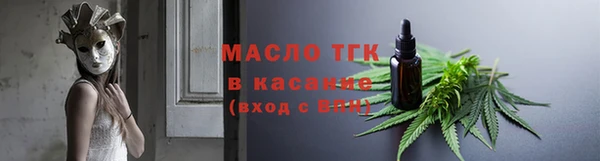МДПВ Бородино
