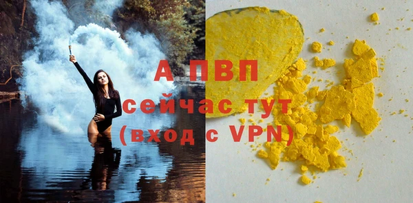 МДПВ Бородино