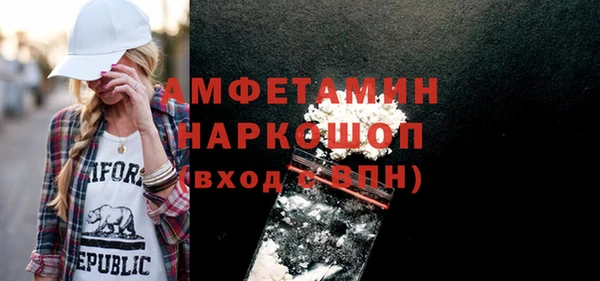 МДПВ Бородино