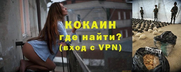 МДПВ Бородино