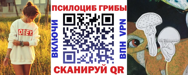Псилоцибиновые грибы прущие грибы  гидра маркетплейс  Гусиноозёрск  закладки 
